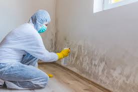 Best Environmental Consulting for Mold Prevention  in Elleale, ND